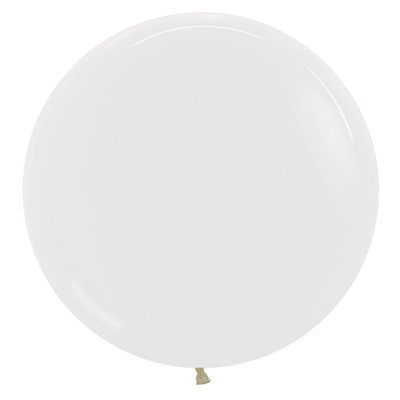24'' Grand format Transparent(10 pièces) 24'' Grand format Transparent(10 pièces)