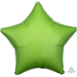 M.19'' ETOILE KIWI