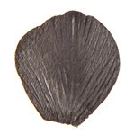 Pétale avec feuille Noir 5 x 4.6 cm Sachet de 100 pièces