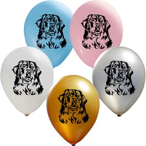 "Dog Face(50CT) - 12"" Latex Balloons - 2 Sides"