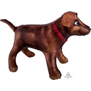 36''M.GOLDEN DOG H / S