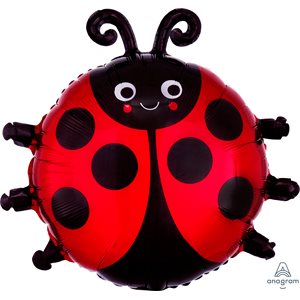 18''M.HAPPY LADYBUG