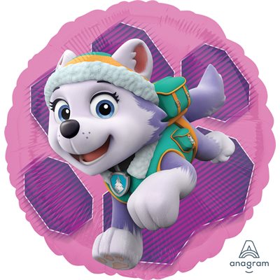 M.18'' PAW PATROL SKYE & EVEREST M.18'' PAW PATROL SKYE & EVEREST