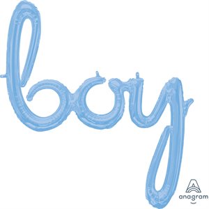 29''M.PASTEL BLUE BOY SCRIPT