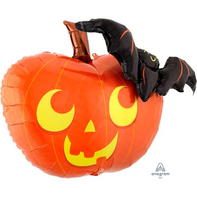 31''M. PUMPKIN & CAT H / S