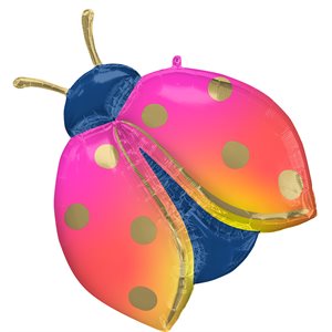 33'' M.COLORFUL LADYBUG H / S