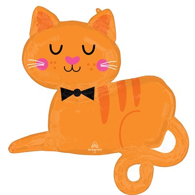 Orange Tabby Cat H / S