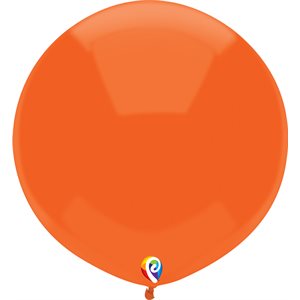 17"B.ORANGE P / 72