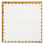 Serviette Passe partout Blanc 12.5 x 12.5 cm Sachet de 20 pi