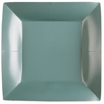 Grande assiette carrée Eucalyptus 23 x 23 cm Sachet de 10 pi