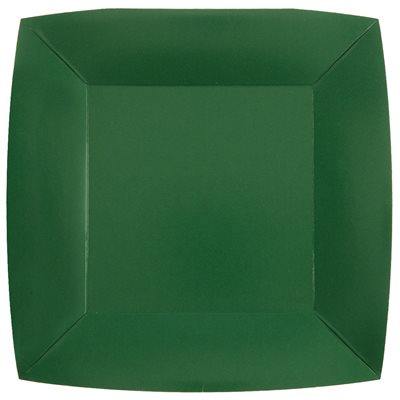 Grande assiette carrée Vert 23 x 23 cm Sachet de 10 pièces