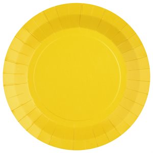 Grande assiette ronde Jaune 22.5 cm Sachet de 10 pièces