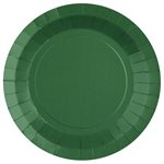 Grande assiette ronde Vert  22.5 cm Sachet de 10 pièces