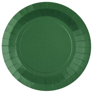 Grande assiette ronde Vert 22.5 cm Sachet de 10 pièces