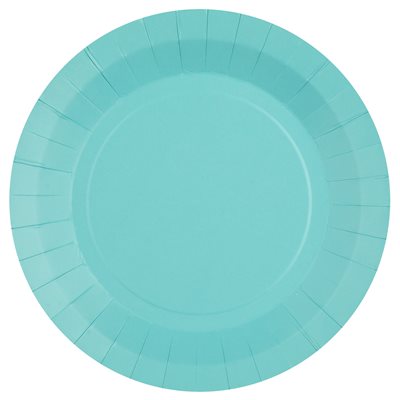 Grande assiette ronde Ciel 22.5 cm Sachet de 10 pièces Grande assiette ronde Ciel 22.5 cm Sachet de 10 pièces