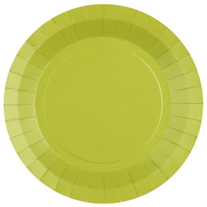 Grande assiette ronde Kiwi 22.5 cm Sachet de 10 pièces