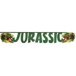 Banderole Dinosaure Multicolore 30 x 15,5 cm  /  500 cm Sachet