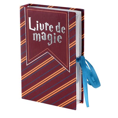 Boîte livre Sorcier Multicolore 16 x 10 x 3 cm La pièce Boîte livre Sorcier Multicolore 16 x 10 x 3 cm La pièce