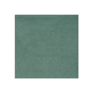Serviette cocktail Eucalyptus 21 x 20 cm Sachet de 25 pièce