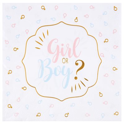 Serviette Girl or Boy ? Multicolore 16.5 x 16.5 cm Sachet de Serviette Girl or Boy ? Multicolore 16.5 x 16.5 cm Sachet de