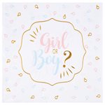 Serviette Girl or Boy ? Multicolore 16.5 x 16.5 cm Sachet de
