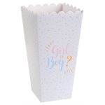 Cornet Girl or Boy ? Multicolore 6 x 8 x 17 cm Sachet de 8 p