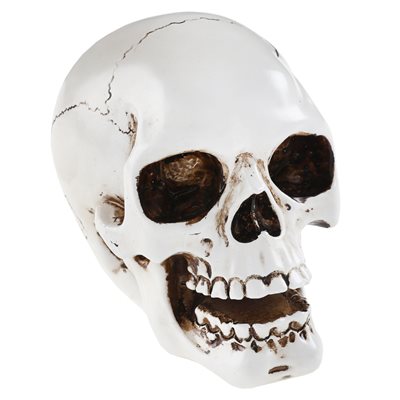 Tête de mort Blanc 7 x 10.5 x 9 cm La pièce Tête de mort Blanc 7 x 10.5 x 9 cm La pièce