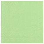 Serviette Crystal Mint Sachet de 25 pièces 33 x 33 cm