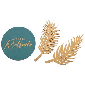 DECO PARSEMER RETRAITE DOREE Céladon 5 x 5 cm & Ø 5 cm Sache