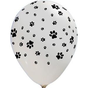 B.12'' PAW A / A P / 50